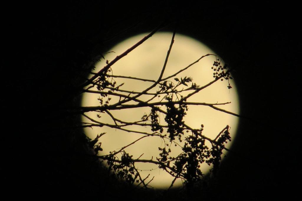 Pousada Luna Zen ปิเรนนอโปลิส ภายนอก รูปภาพ
